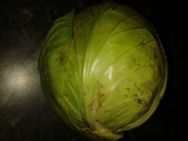 Rezept: KRAUTSTRUDEL Bild Nr. 2 KRAUTSTRUDEL - Rezept - Bild Nr. 2