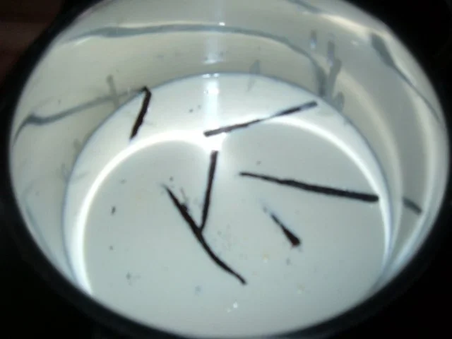 Eis : mal mit Vanille und weißer Schoki - Rezept - Bild Nr. 3