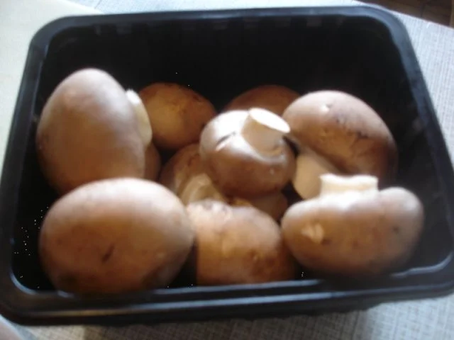 Rezept: Spaghetti mit Tomaten-Champignon-Putengeschnetzelten Bild Nr. 3 Spaghetti mit Tomaten-Champignon-Putengeschnetzelten - Rezept - Bild Nr. 3