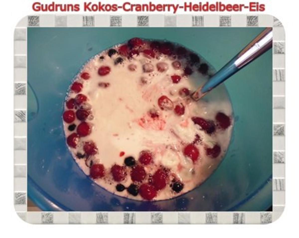 Eis: Kokos-Cranberry-Heidelbeer-Eis - Rezept - Bild Nr. 3