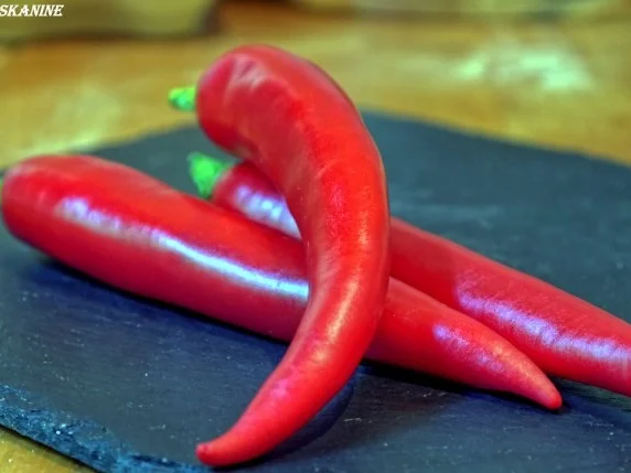 Tomaten-Chili-Konfitüre - Rezept - Bild Nr. 5