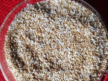 Joghurt mit  Amaranth und Aroniabeeren - Rezept - Bild Nr. 7