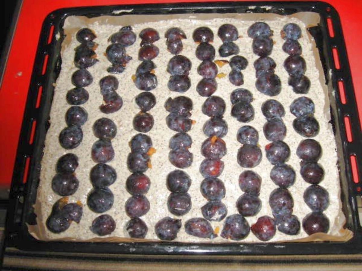 Mohn - Blechkuchen mit Pflaumen - Rezept - Bild Nr. 8