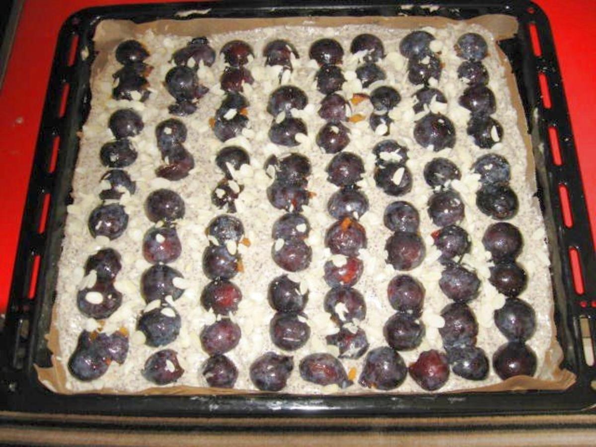 Mohn - Blechkuchen mit Pflaumen - Rezept - Bild Nr. 9