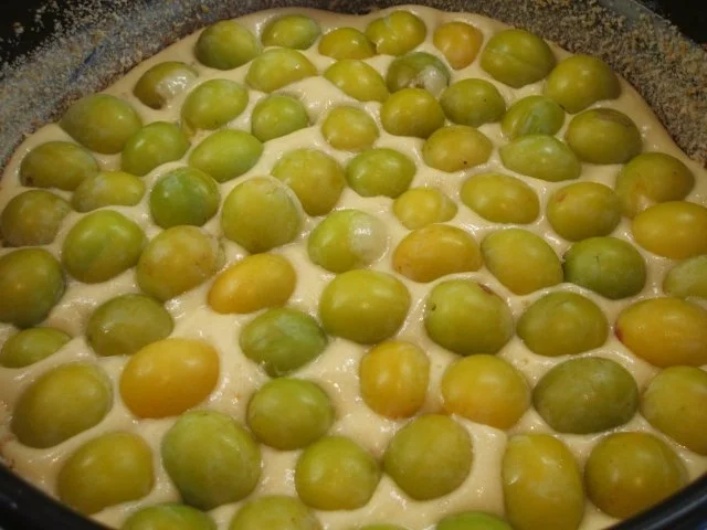 Backen: Ringlo-Buttermilch-Kuchen (Wieberla-Koung) für Emari zum Geburtstag ;-))) - Rezept - Bild Nr. 5