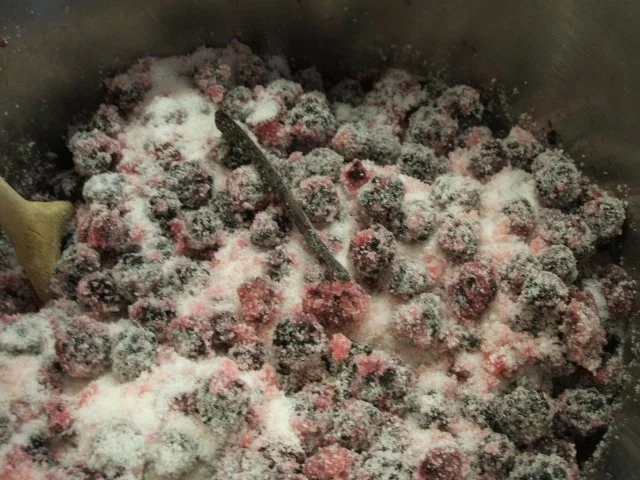 Rezept: Vorrat: Brombeermarmelade mit Vanille Bild Nr. 3 Vorrat: Brombeermarmelade mit Vanille - Rezept - Bild Nr. 3