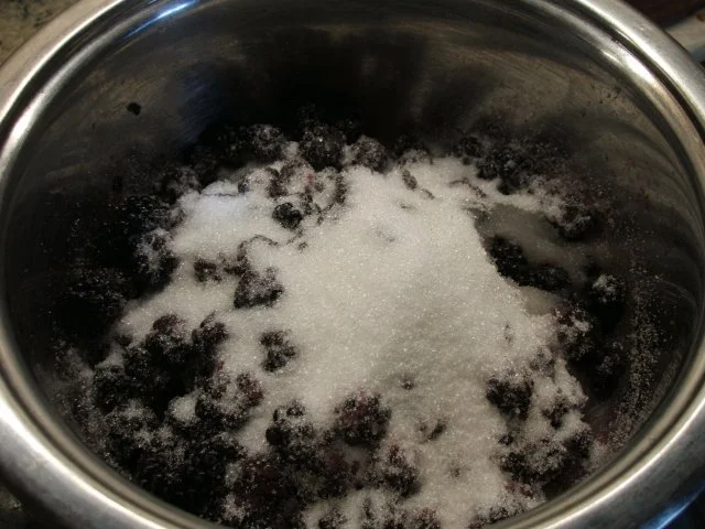 Backen: Vanille-Biskuitrolle mit Brombeeren - Rezept - Bild Nr. 3