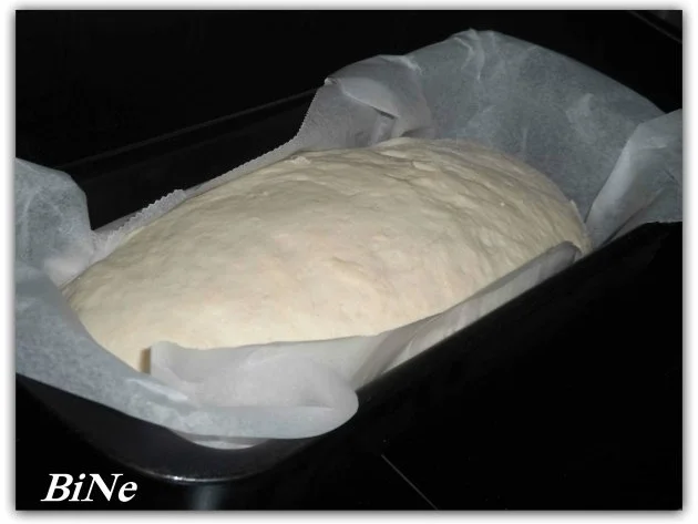 Rezept: BiNe` S BUTTERMILCH - WEISSBROT Bild Nr. 4 BiNe` S BUTTERMILCH - WEISSBROT - Rezept - Bild Nr. 4