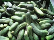 Eingemachte Gurken süß-sauer - Rezept