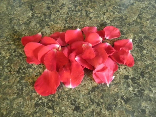 Rosen - Eis und kandierte Rosenblütenblätter ... - Rezept - Bild Nr. 14