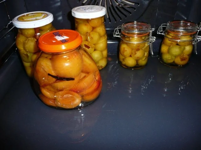Mirabellen & Aprikosen einkochen mal anders. - Rezept - Bild Nr. 4