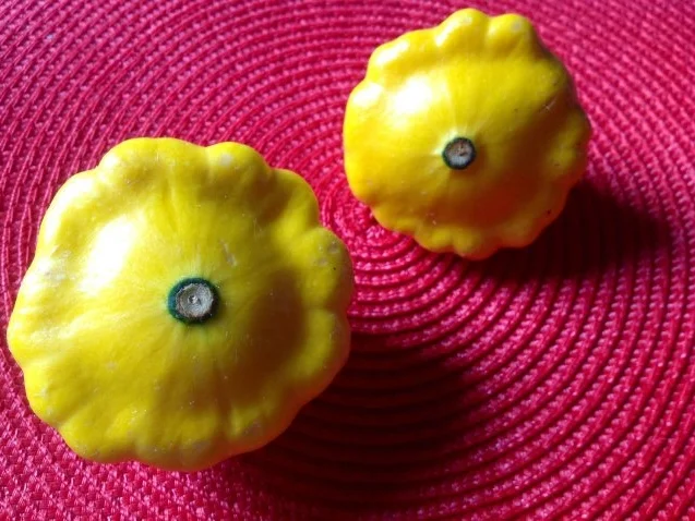 Eingelegter Kürbis mit Käse - Rezept - Bild Nr. 3