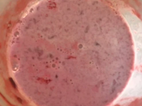Brombeer - Smoothie - Rezept - Bild Nr. 3