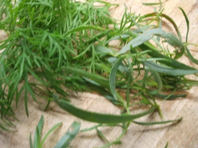 Fisch: Lachshackbraten - Rezept - Bild Nr. 3