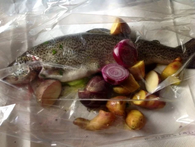 Forelle aus dem Ofen - Rezept - Bild Nr. 8