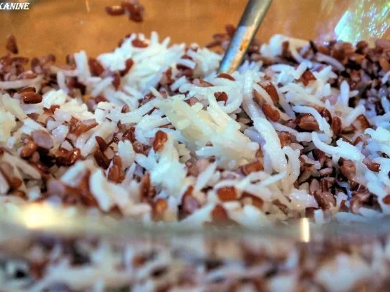 Reissalat mit Thunfisch, Ei und Ziegenkäse - Rezept - Bild Nr. 6