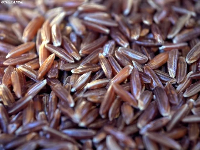 Reissalat mit Thunfisch, Ei und Ziegenkäse - Rezept - Bild Nr. 4