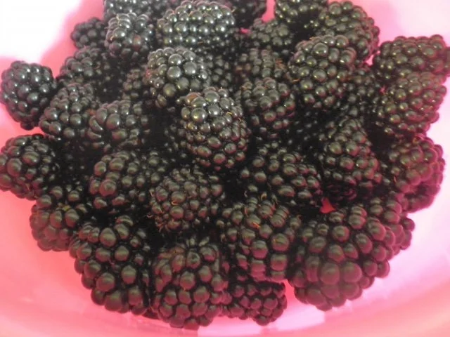 Brombeer - Senf ... - Rezept - Bild Nr. 2