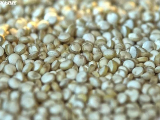 Gekühlte Tomatensuppe mit Quinoa-Mandel-Bällchen - Rezept - Bild Nr. 7