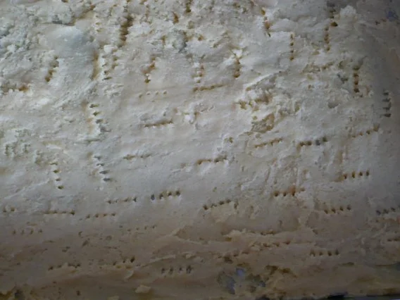 Käsekuchen mit Heidelbeeren - Rezept - Bild Nr. 2