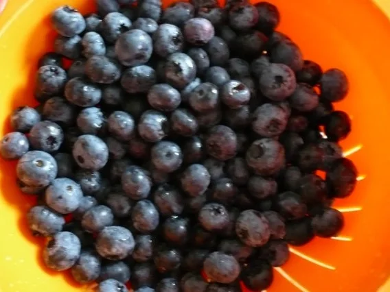 Käsekuchen mit Heidelbeeren - Rezept - Bild Nr. 4