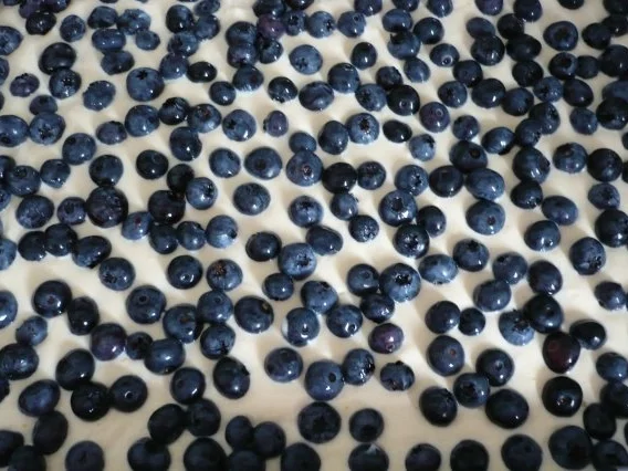 Käsekuchen mit Heidelbeeren - Rezept - Bild Nr. 6