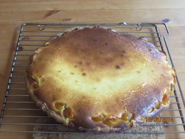 Mirabellen-Tarte - Rezept - Bild Nr. 4