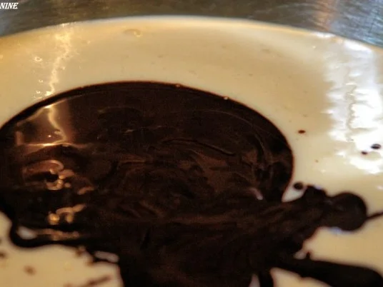 Rezept: Marmorierter Käsekuchen ohne Boden Bild Nr. 7 Marmorierter Käsekuchen ohne Boden - Rezept - Bild Nr. 7