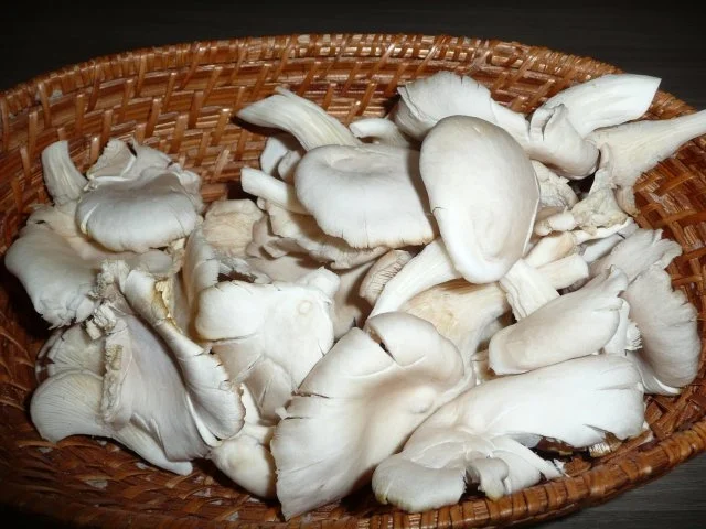 Risotto mit frischen Austernpilzen - Rezept - Bild Nr. 2