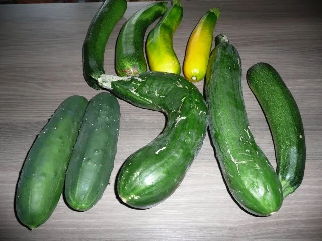 Sonntagsspieße : Rind, Paprika, Zucchini, Zwiebel,  Ananas ! - Rezept - Bild Nr. 2