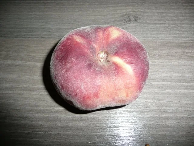 Obst muss vorm Urlaub weg ! - Rezept - Bild Nr. 2