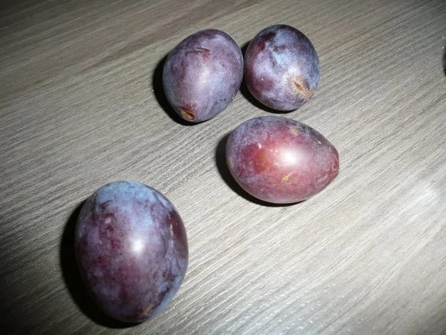 Obst muss vorm Urlaub weg ! - Rezept - Bild Nr. 3