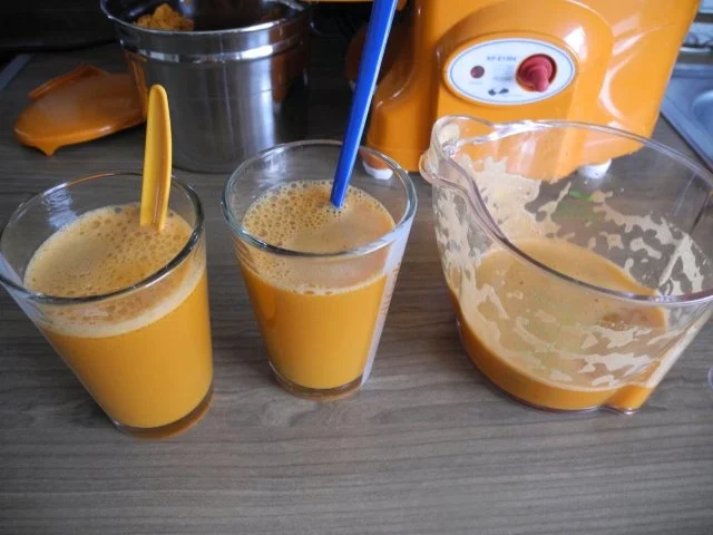 Rezept: Selbstgepressten Karotten - Apfelsaft Bild Nr. 4 Selbstgepressten Karotten - Apfelsaft - Rezept - Bild Nr. 4