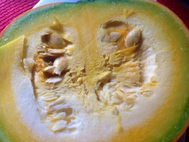 Chilikürbis - Rezept - Bild Nr. 4