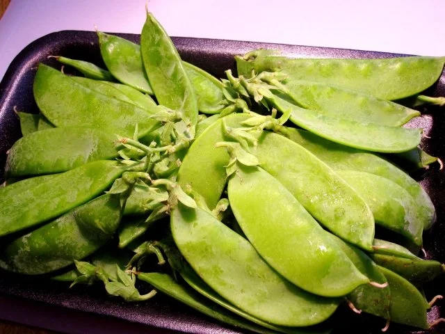 Rezept: Grüne Erbsenschoten mit Zitronen-Hollandaise Bild Nr. 2 Grüne Erbsenschoten mit Zitronen-Hollandaise - Rezept - Bild Nr. 2