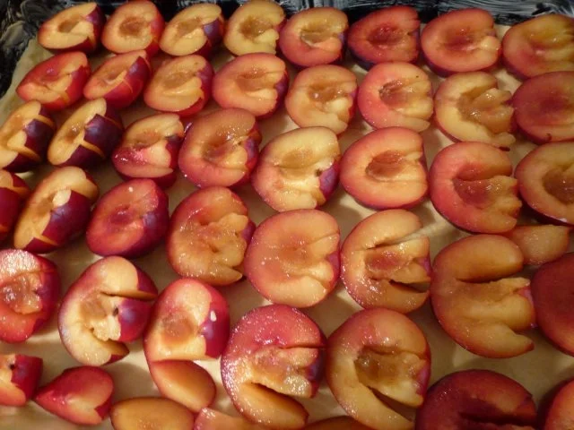 Rezept: Dicke Pflaumen-Kuchen Bild Nr. 3 Dicke Pflaumen-Kuchen - Rezept - Bild Nr. 3