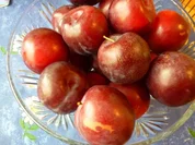 Dicke Pflaumen-Kuchen - Rezept