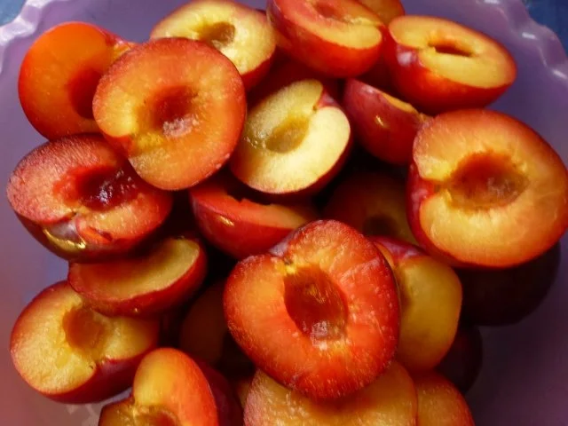 Rezept: Dicke Pflaumen-Kuchen Bild Nr. 2 Dicke Pflaumen-Kuchen - Rezept - Bild Nr. 2