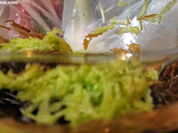 Glasnudelsalat mit Tempura-Garnelen - Rezept - Bild Nr. 4