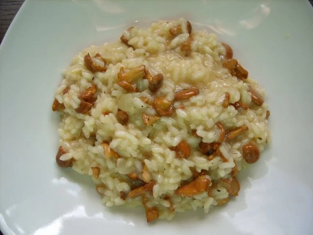 Pifferlingrisotto - Rezept