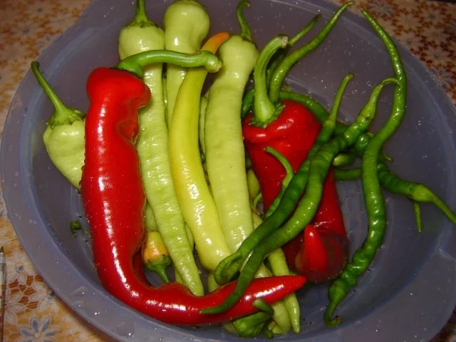 Sauer eingelegte Paprika - Rezept - Bild Nr. 2