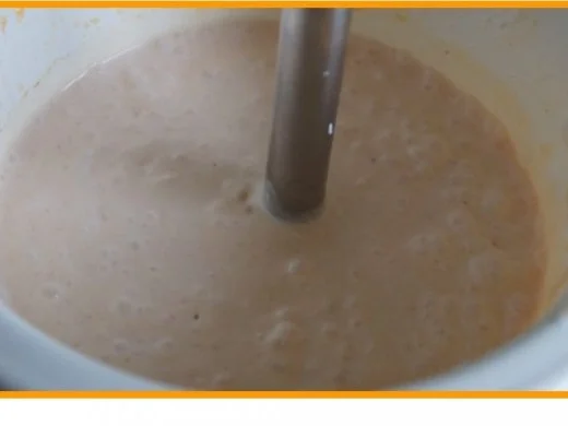 Rezept: Nektarinendessert Bild Nr. 6 Nektarinendessert - Rezept - Bild Nr. 6