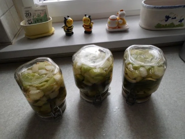 Senf-Dill-Gurken süß-sauer - Rezept