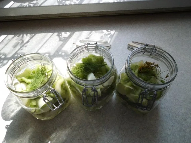 Senf-Dill-Gurken süß-sauer - Rezept - Bild Nr. 4