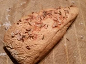 Spitzbrötchen - Rezept