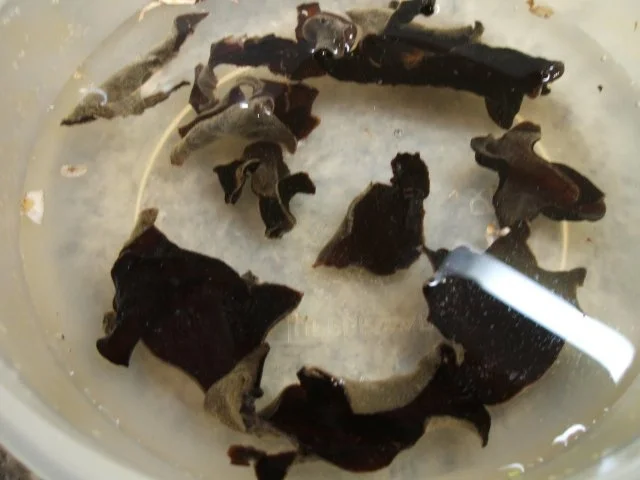 Suppen: Asiatisch angehauchte Pilzsuppe - Rezept - Bild Nr. 3