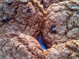 Oatmeal Raisin Cookies "California" - Rezept - Bild Nr. 3