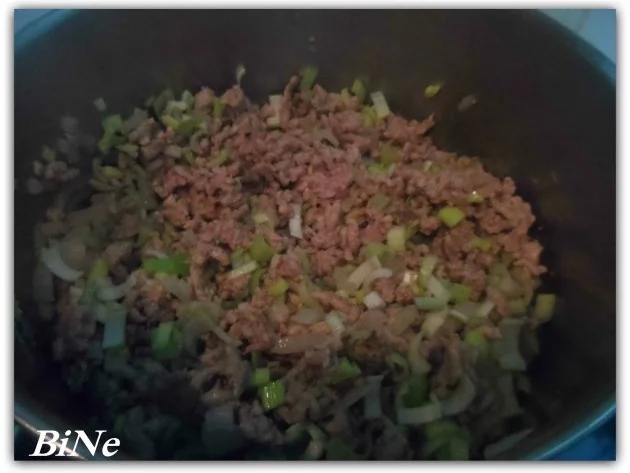 Rezept: BiNe` S HACKFLEISCHBOOTE Bild Nr. 4 BiNe` S HACKFLEISCHBOOTE - Rezept - Bild Nr. 4