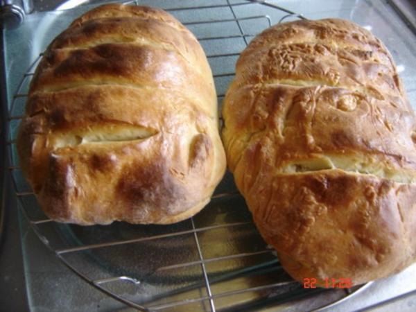 Griechisches Weißbrot frisch aus dem Ofen - einfach - 251 kcal/100g