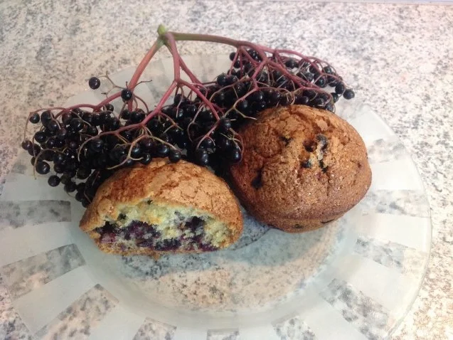 Rezept: Holunderbeer - Muffins Holunderbeer - Muffins - Rezept
